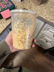 2 Flightless Fruit Fly cultures. 4 Small Reptiles, Amphibians, Or Invertebrate