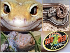 Zoo Med Digital Reptile Thermometer External Probe Snakes Lizards Zoomed Dry Wet