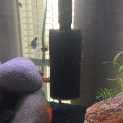 4 Pack Aquarium Pre-Filter Sponges 5.9″ x 2.6 Inch Foam Filter Cartridges