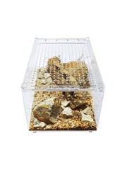 Herpcult Acrylic Reptile Terrarium Gecko Spider Vivarium Enclosure Large Flat
