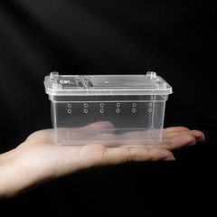 6 Pack Mini Jumping Spider Enclosures, Portable Breeding Box, Clear Plastic