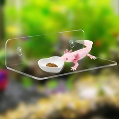 2-in-1 Axolotl Tank Accessories Set, Transparent Acrylic Shelf with Suction C…