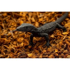 Organic Reptile Substrate Coco Chips Bioactive Bedding Snakes Geckos Tortoises