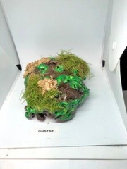Arboreal Attitudes Weighted Ground Hides For Terrariums And Cages For Reptiles