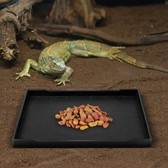 Reptile Dish Tortoise Bathing Pool Food Bowl Baby Reptiles Water Large