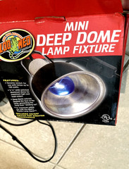 Zoo Med Mini Combo Deep Dome Heat Lamp Fixture 4 Sockets + Spring Clips 4 Iguana