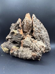 Small Cork Bark