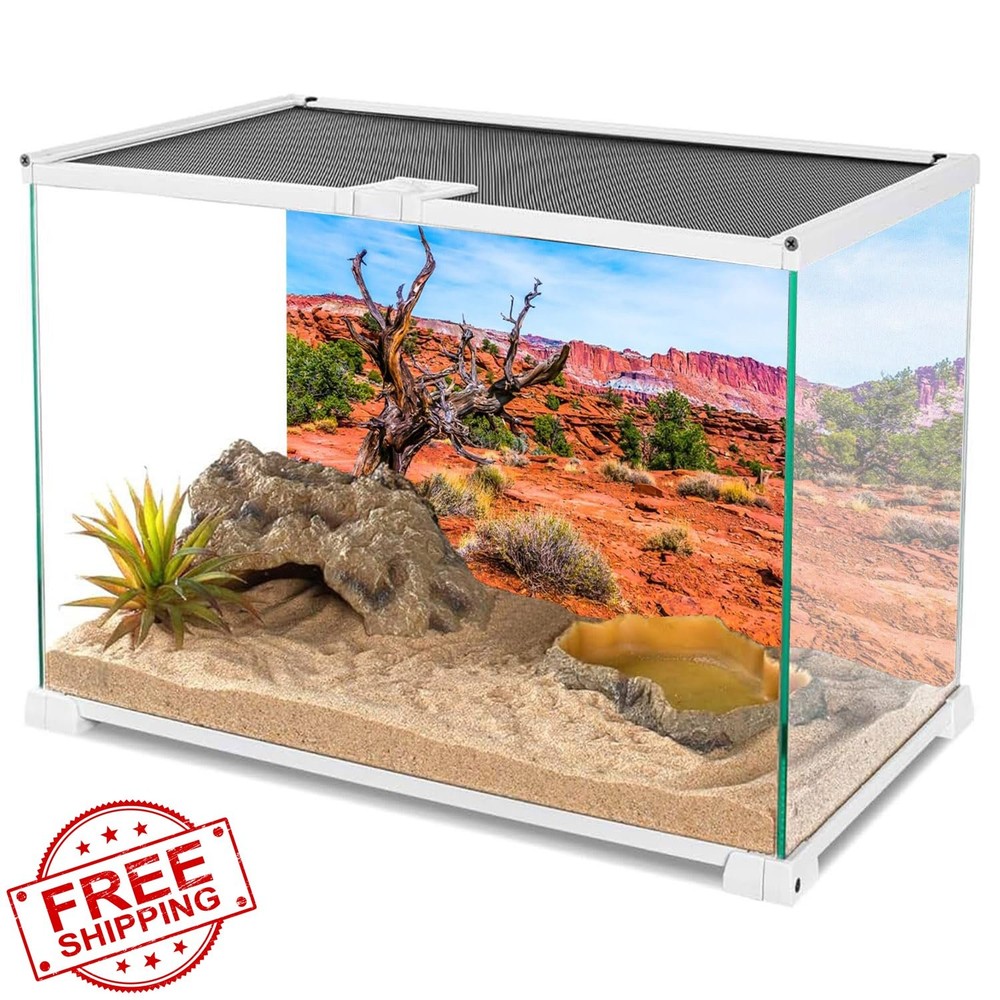 AWERT Reptile Habitat Background 36x18in Blue Sky Orange Desert