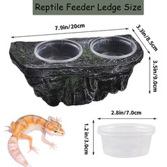 Reptile Feeding Ledge with Suction Cups,Crested Gecko Feeder Ledges with 2 Pc…