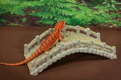 Reptile Bridge, Driftwood Gray, Reptile Habitat Accessory