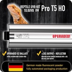 10.0 UVB Reptile Light Fixture Kit – 12″ Fluorescent Lamp for Bearded Dragons, T