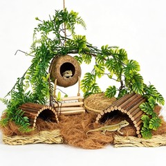 Crested Gecko Terrarium Accessories, Bearded Dragon Terrarium Accessories
