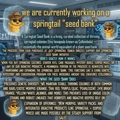 200-240 (Orange Springtails) L.A.G