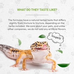 Reptilian Bones | Natural Dietary Pet for Reptiles | Healthy Bones | Alcohol-…