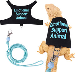 Bearded Dragon Harness and Leash Set Adjustable Reptile Lizard Leash Rope Vest C