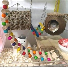 3 PCS Hamster Hanging Hammock Basket Wooden Rat Ladder Swing Set Cage Climbing
