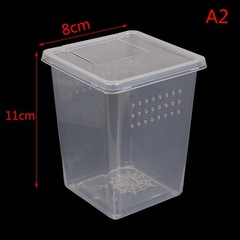 Plastic Insect Spider Habitat Feeding Box Case Container Tank Transport CaseJ ZC