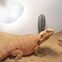 Aiicioo Reptile Basking Light Bulb 50W Heat Lamp 2 Pack UVA Daylight – White
