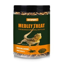 Dried Mealworms and Dried Crickets – Higher in Calcium and Richer in Protein-…