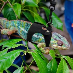 Bearded Dragon Harness and Leash Set, 3 Size Adjustable Soft Leather Reptile …