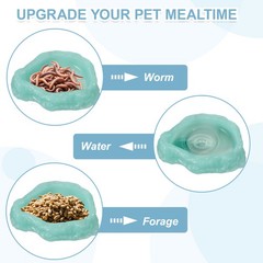 Reptile Food Bowl Reptile Feeding Dish Corner Bowl XS 3.7 Inch Glow Light Green