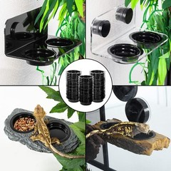 Acrylic Gecko Feeding Ledge – Magnetic Installation with 6 Feeding Cups