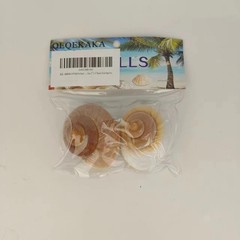 Extra Large Hermit Crab Shells 2 Pack Natural Snail Shells for Large Crabs