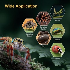 Jumping Spider Enclosure Starter Kit,Escape Proof Forest Terrarium