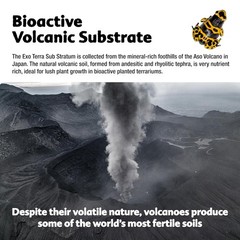Exo Terra Sub Stratum, Bioactive Volcanic Substrate for Reptile Terrariums, Elim