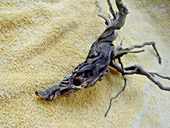 NATURAL SPIDER LIKE ROOT WOOD REPTILE TERRARIUM DECORATION ART GARDEN PET FLORAL