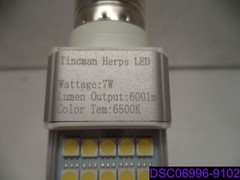 Tincman Herps LED 7 Watts, 6001m, 6500K