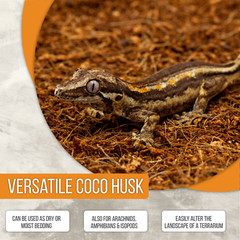 ReptiEarth Fine Coconut Fiber Substrate, Fluffy Small-Strand Reptile Bedding