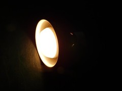 All Living Things 5.5 inch deep Reptile dome lamp fixture 100W includes Bulb