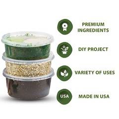 DIY Small Terrarium Kit – Perfect Gift for Plant Lovers