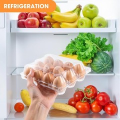 100 Pack Plastic Egg Cartons Cheap Bulk,1 Dozen Clear Empty Egg Cartons for C…