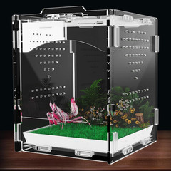 Acrylic Jumping Spider Enclosure, Insect Terrarium, Praying Mantis Habitat