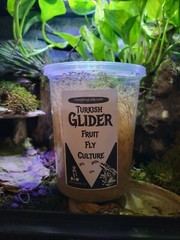 Fruit Fly Culture Turkish Glider 3 Pack Lizard And Dart Frog Food Live