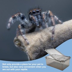 6pcs reptile Plastic Terrarium, Transport Container for Lizards, Geckos and more