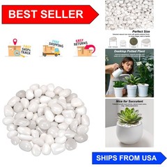 1 Pound Natural White River Rocks – Decorative Pebbles for Indoor/Outdoor Use