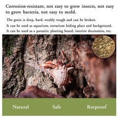 BNOSDM 2PCS Cork Bark Background,11.8″ x 7.9″ Natural Reptile Terrarium Backd…