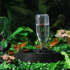 Lizard Corner Water Bowl Reptile Accessories Popetpop Automatic