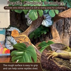 BNOSDM 3PCS Natural Reptile Climbing Branches Decor,0.8-1.2″ Thick Snake Clim…