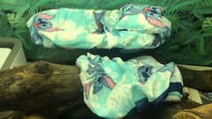 LILO & STITCH PRINTS DESIGN LRG ATTACHABLE RESTING BED COVER 4 BEARDED DRAGONS