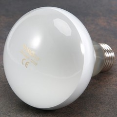2 Pack Reptile Uvb Uva Heat Lamp Bulb For Reptiles Truly Sun-Like Bright8724