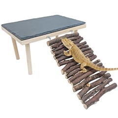 BNOSDM Bearded Dragon Basking Rock Platform with Climbing Ramp Reptiles Hideo…
