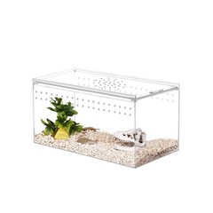 NANEEZOO Magnetic Acrylic Reptile Terrarium Enclosure, 8″ x 4″ x Clear