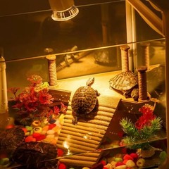 REPTI HOME Reptile Heat Lamp, UVA UVB Heat Lamp Bulbs, E26 Turtle Heat Lamp