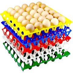 15-Pack Reusable Plastic Egg Tray Egg Crates 30-Egg Flats for Home Chicken Fa…