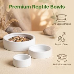3 Pack Escape Proof Reptile Feeding Dish, Reptile Food and Water Bowl, Cerami…