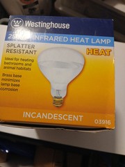 Heat Bulb and Brooder Bulb